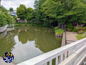 広沢の池.jpg