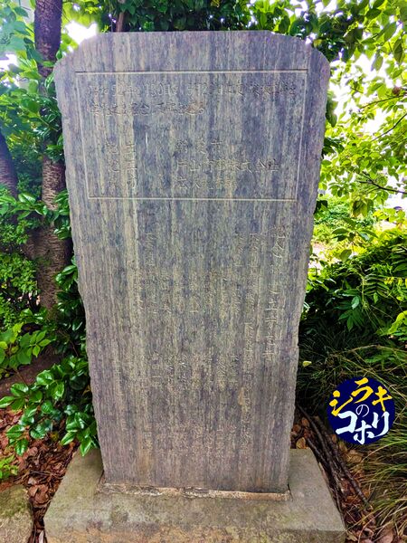ファイル:広沢観音池さらい記念碑.jpg