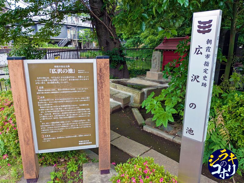 ファイル:広沢の池説明板.jpg