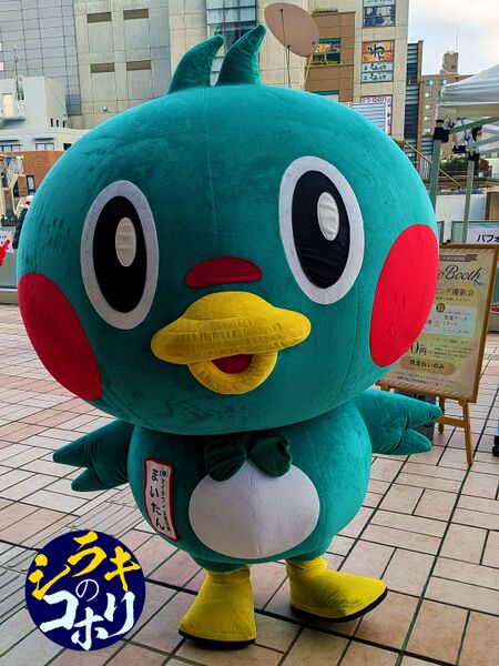 ファイル:まいたん.jpg